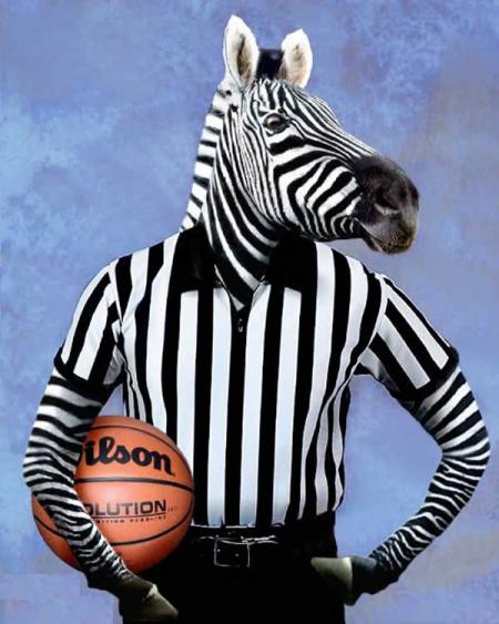 arbitre sauvage