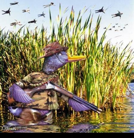 le chasseur chasse les oiseaux :D